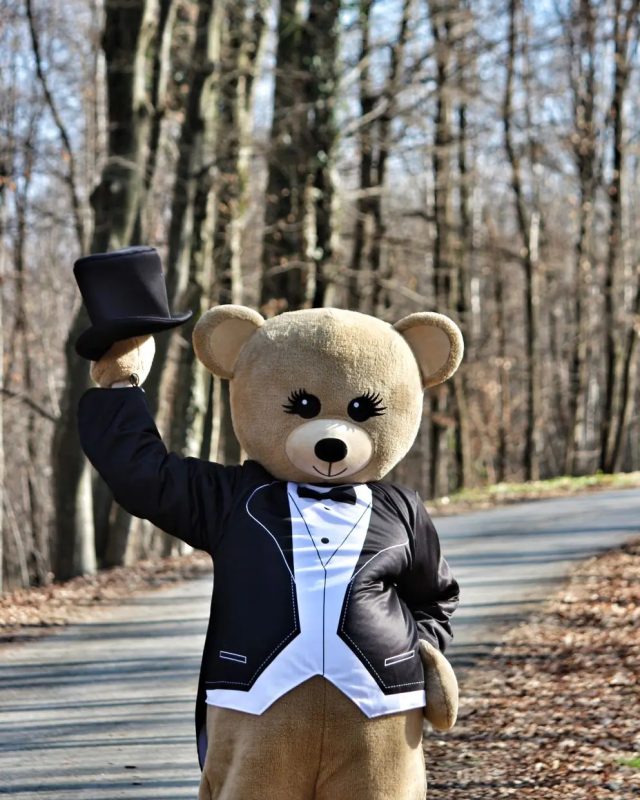 Meda ps kids memories