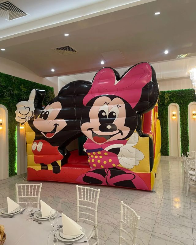 miki i mini dvorac na naduvavanje